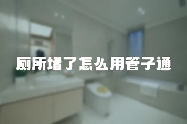 廁所堵了怎么用管子通