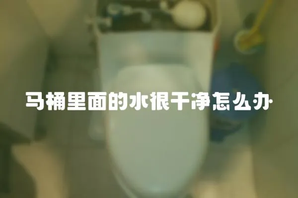馬桶里面的水很干凈怎么辦