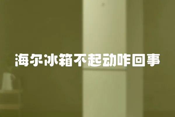 海爾冰箱不起動(dòng)咋回事