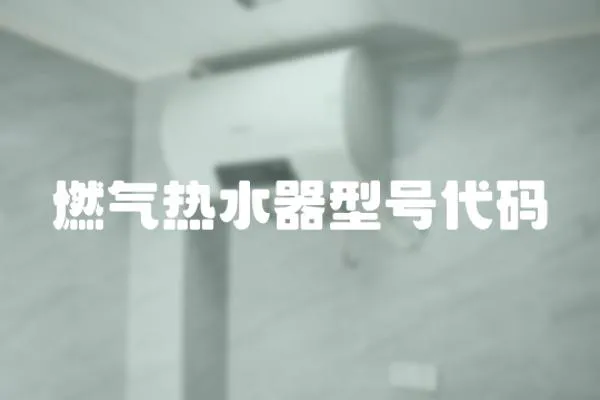 燃?xì)鉄崴餍吞柎a