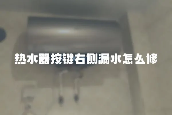 熱水器按鍵右側(cè)漏水怎么修