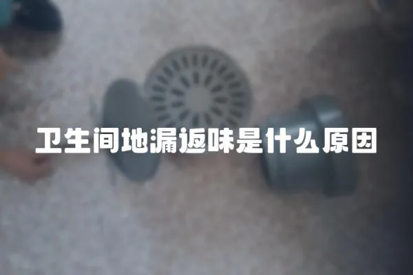 衛生間地漏返味是什么原因