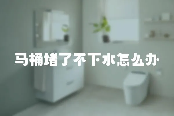 馬桶堵了不下水怎么辦