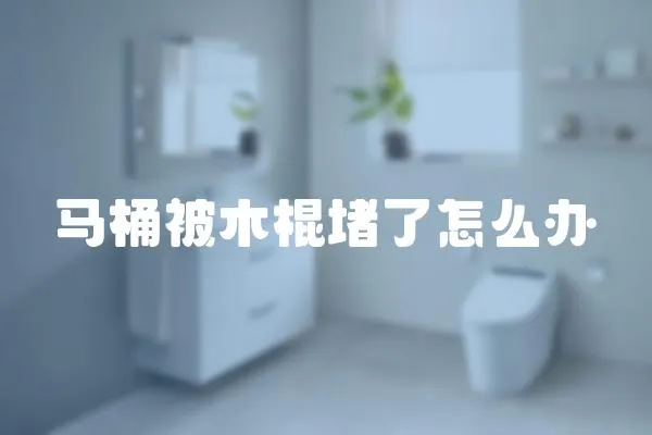馬桶被木棍堵了怎么辦