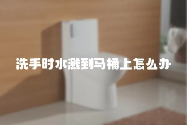 洗手時(shí)水濺到馬桶上怎么辦