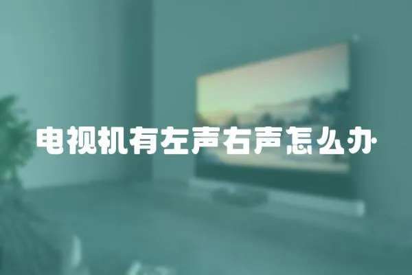 電視機有左聲右聲怎么辦