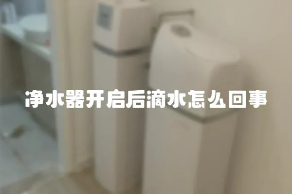 净水器开启后滴水怎么回事