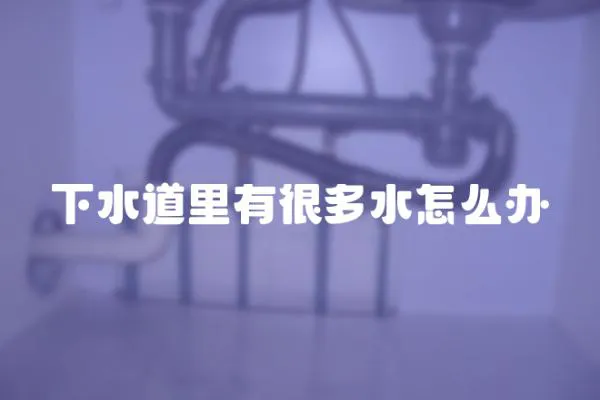 下水道里有很多水怎么辦