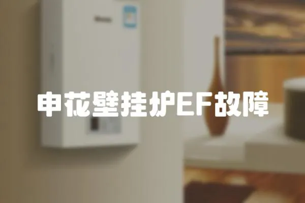 申花壁掛爐EF故障