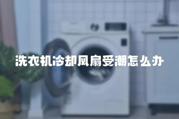 洗衣機(jī)冷卻風(fēng)扇受潮怎么辦