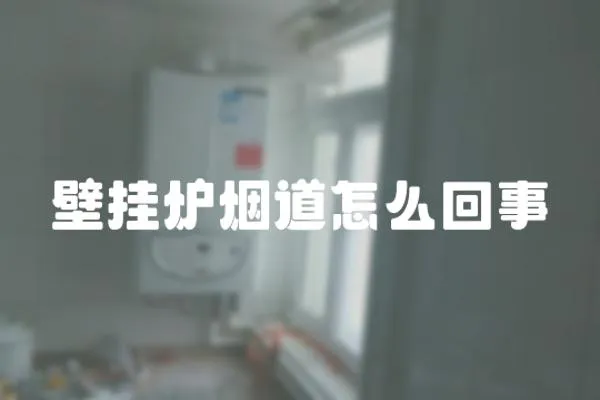 壁掛爐煙道怎么回事