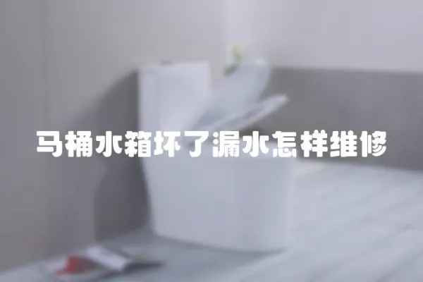 馬桶水箱壞了漏水怎樣維修