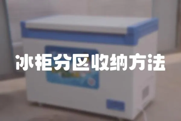 冰柜分區(qū)收納方法