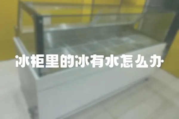 冰柜里的冰有水怎么辦