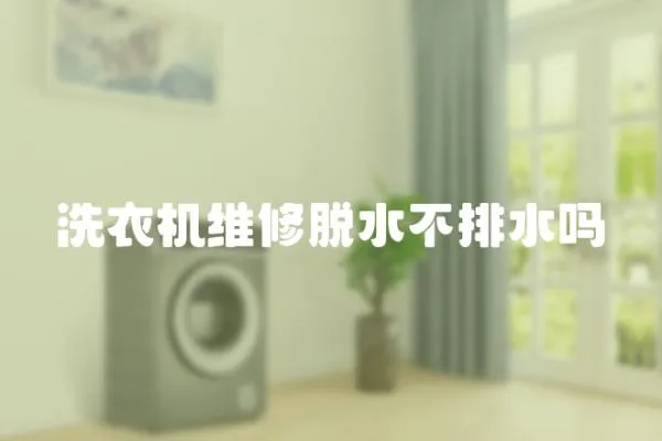 洗衣機維修脫水不排水嗎