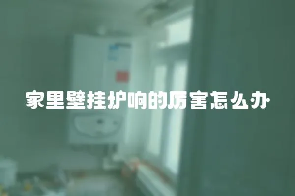 家里壁掛爐響的厲害怎么辦