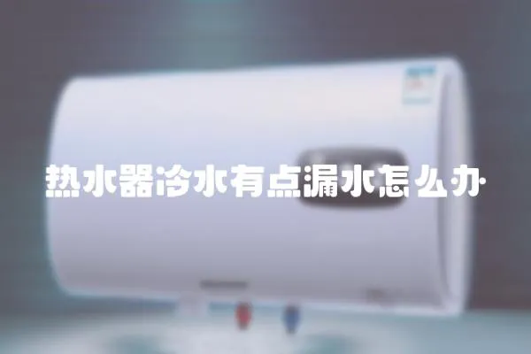 熱水器冷水有點漏水怎么辦