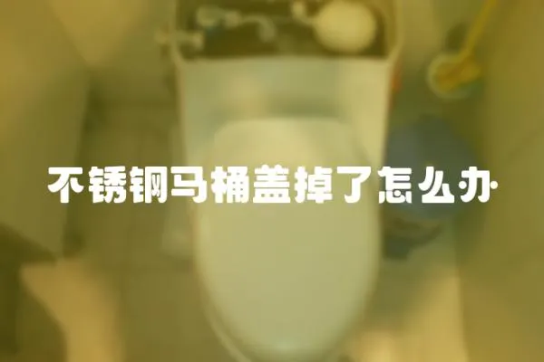 不銹鋼馬桶蓋掉了怎么辦