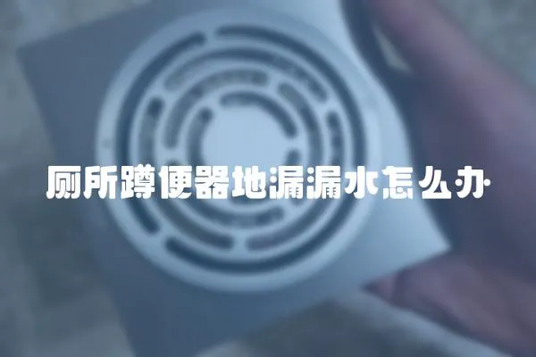 廁所蹲便器地漏漏水怎么辦