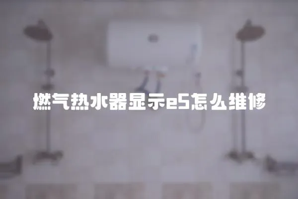 燃?xì)鉄崴黠@示e5怎么維修