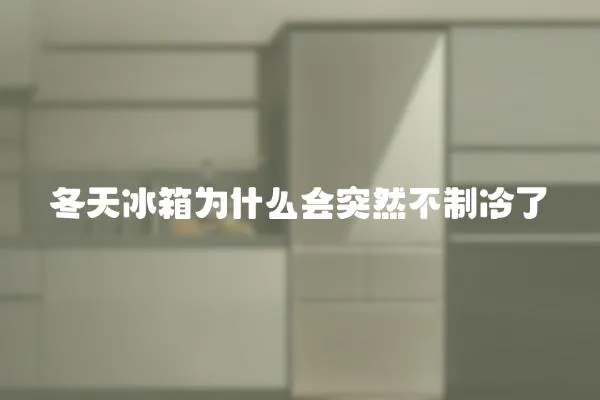 冬天冰箱為什么會突然不制冷了