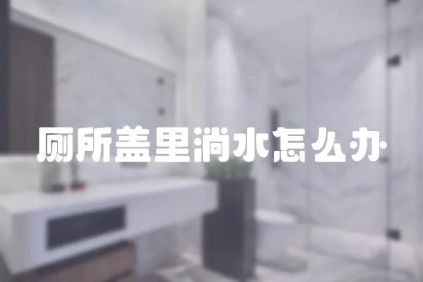 廁所蓋里淌水怎么辦