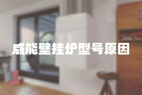 威能壁掛爐型號原因