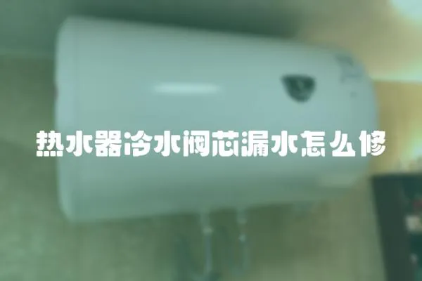 熱水器冷水閥芯漏水怎么修