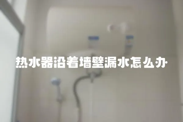 熱水器沿著墻壁漏水怎么辦