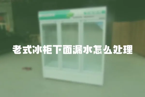 老式冰柜下面漏水怎么處理
