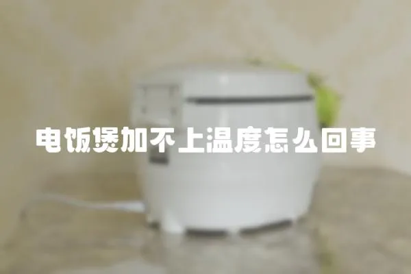 電飯煲加不上溫度怎么回事
