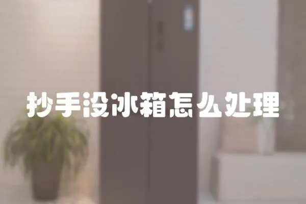 抄手沒(méi)冰箱怎么處理