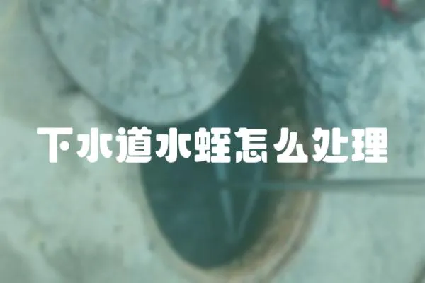 下水道水蛭怎么處理