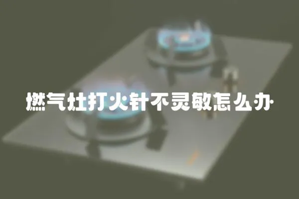 燃?xì)庠畲蚧疳槻混`敏怎么辦