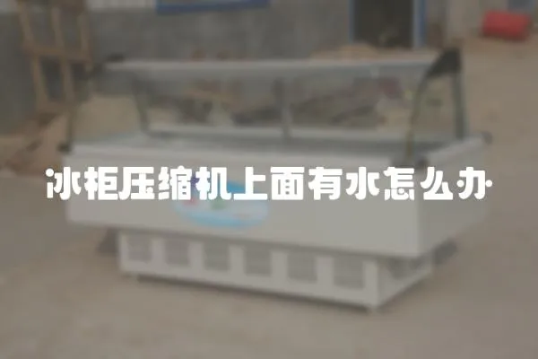 冰柜壓縮機上面有水怎么辦