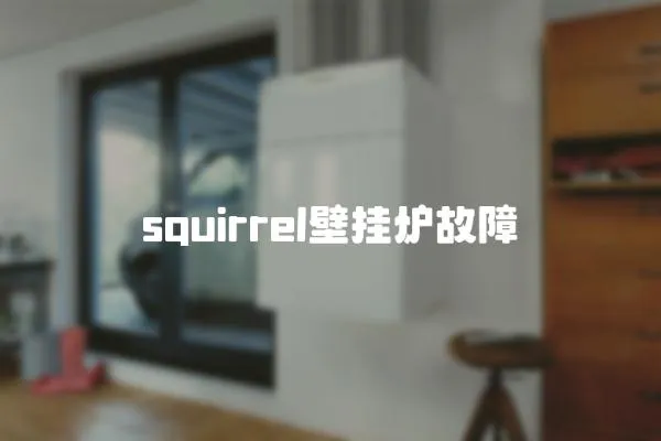squirrel壁掛爐故障
