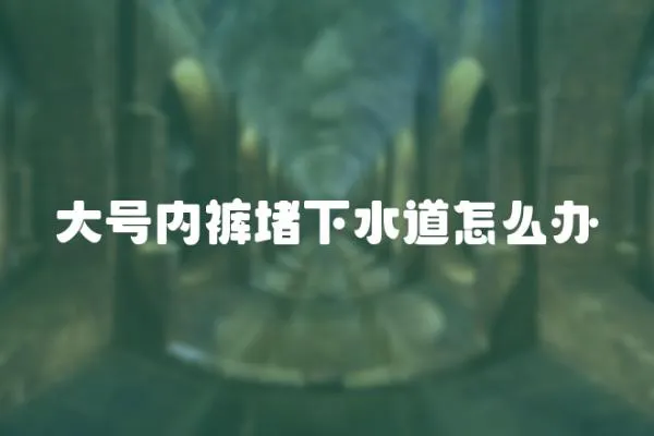 大號內褲堵下水道怎么辦