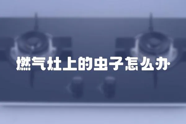 燃氣灶上的蟲子怎么辦