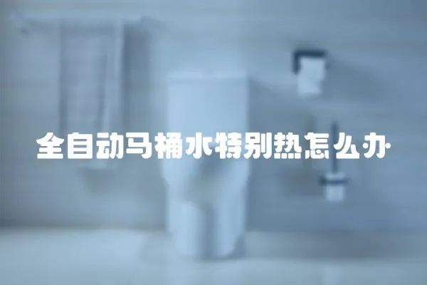 全自動馬桶水特別熱怎么辦