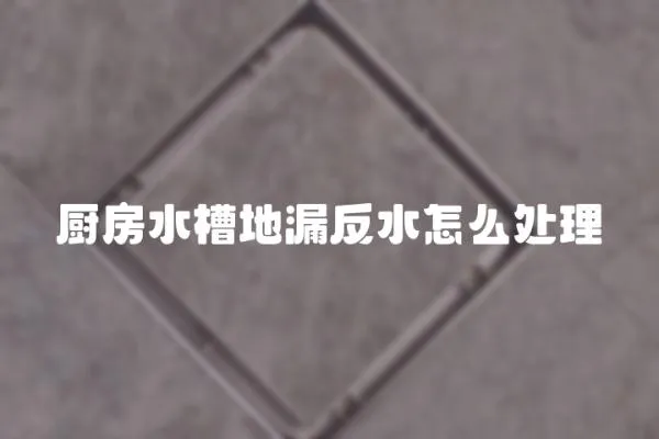 廚房水槽地漏反水怎么處理