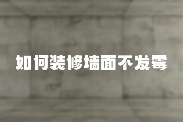 如何裝修墻面不發霉