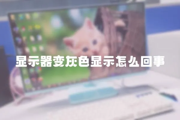 顯示器變灰色顯示怎么回事