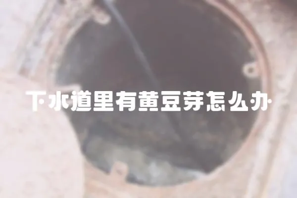 下水道里有黃豆芽怎么辦
