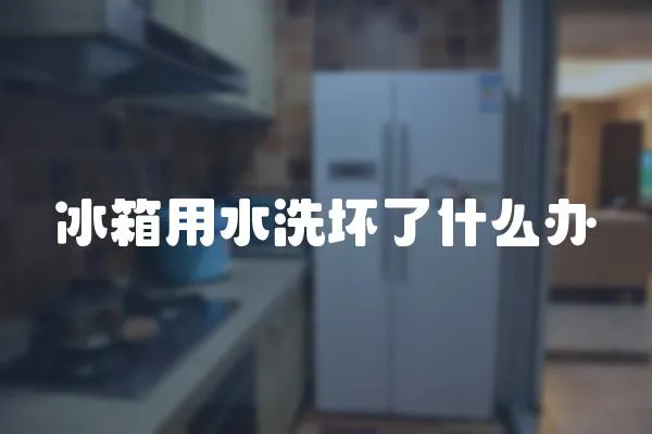 冰箱用水洗壞了什么辦