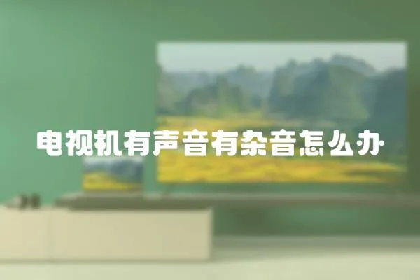 電視機有聲音有雜音怎么辦