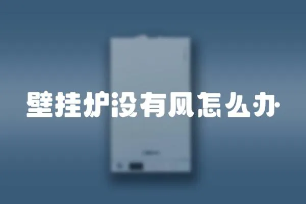 壁掛爐沒有風怎么辦