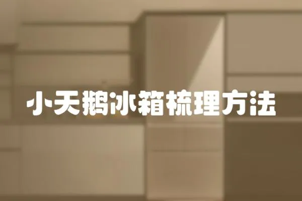小天鵝冰箱梳理方法