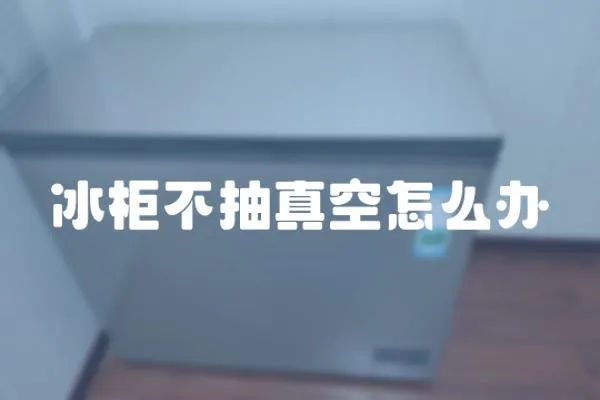 冰柜不抽真空怎么辦