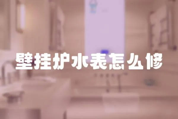 壁掛爐水表怎么修