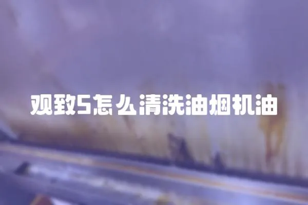 觀致5怎么清洗油煙機油